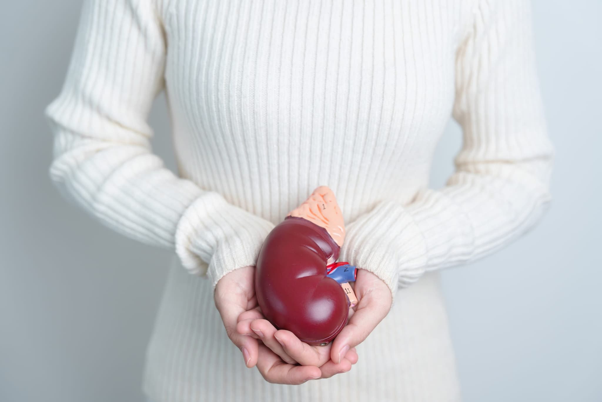 A nephrologist discussing transplant options with a patient and family member